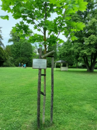 5.6.2025- Výlet Červený Hrádek