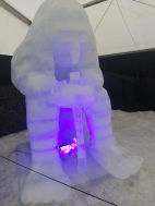 PUSTEVNY SKANZEN 01/26