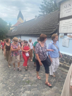 Činnost 2024