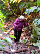 Výlet Dobětice říjen 2025