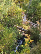 Ozdravný pobyt v Jeseníkách v říjnu 2025