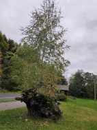 Ozdravný pobyt v Jeseníkách v říjnu 2025