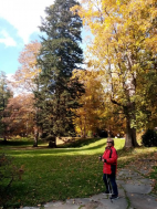 Ozdravný pobyt v Jeseníkách v říjnu 2025