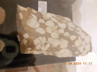 15.8.2024- Muzeum Sokolov