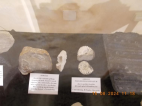 15.8.2024- Muzeum Sokolov