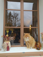 Hřebčín Slatiňany 2025