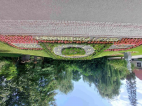 Poděbrady 15. 7. 25