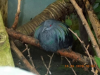 20.5.2025- Výlet Praha- ZOO, botanická 