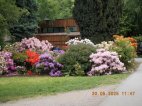 20.5.2025- Výlet Praha- ZOO, botanická 