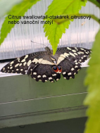 20.5.2025- Výlet Praha- ZOO, botanická 