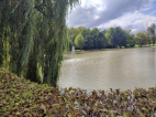 Ozdravný pobyt Kralupy nad Vltavou