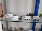 26.2.2025- Nové Sedlo- hornické muzeum