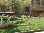 zoo Praha r. 2015